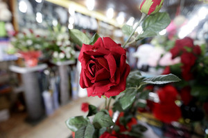 استراليا وسنغافورة وماليزيا تحذر من عمليات الاحتيال في عيد الحب