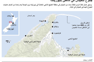 انفوجرافيك... ما هي أسباب جنوح للحيتان في شاطئ بنيوزيلندا؟