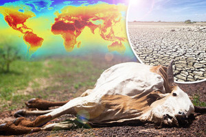 تأثير الاحترار المناخي على الحيوانات غير مقدر بشكل جيد