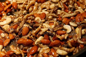 عيد الحب.. و'حلوى الحشرات'