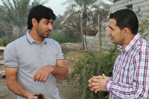 بالصور ... شاب يجمع حليب البقر ويصنع التمور: العمل بالطرق التقليدية يُحصِّنها من الضياع