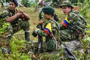 متمردو جماعة فارك سيبدأون عملية لنزع السلاح في كولومبيا