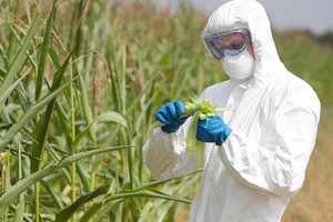 التعديل الجيني يقدم افاقا واعدة لقطاعي تربية المواشي والزراعة