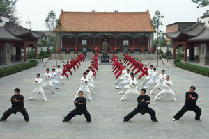 تمرينات 'التاي تشي' تقلل خطر سقوط كبار السن