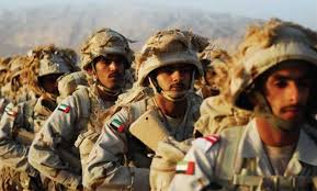 'وام': استشهاد جندي إماراتي مشارك في 'إعادة الأمل' باليمن