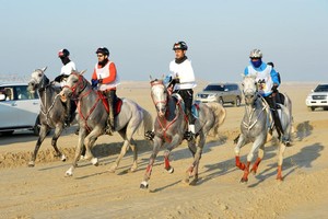 بالصور... فيصل بن راشد: التنافس سيكون قويا مع التوقعات بسرعات عالية في كأس جلالة الملك للقدرة
