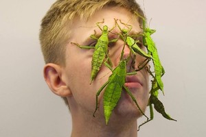 بالفيديو والصور: الحشرات تصنع شهرةً لمراهق ألماني