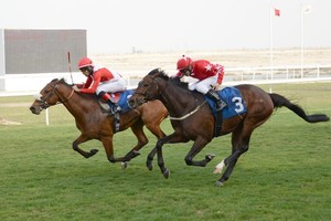 كؤوس بنك البحرين والكويت و'بناغاز' والغولف الملكي تشعل صراع الجياد