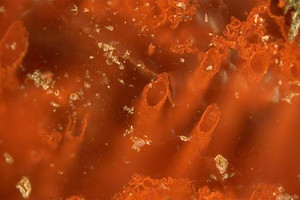 مؤشرات على حياة على الأرض قبل اربعة مليارات سنة