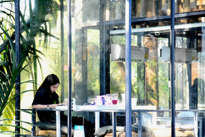 الرئة الخضراء في بانكوك تقاوم مشاريع التنمية الحضرية