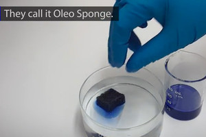 بالفيديو | 'أوليو'... إسفنج جديد قادر على تنظيف انسكابات الزيت والديزل في المياه