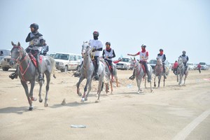 بالصور... الاتحاد الملكي للفروسية ينهي موسم القدرة بسباق ناصر بن حمد في السابع من أبريل المقبل