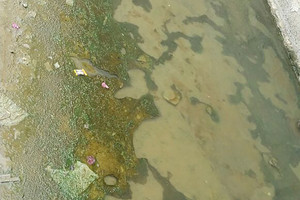 البحرين | بالصور... أهالي مجمع 1032 بالمالكية: الحشرات والروائح الكريهة تنبعث من فيضانات المياه 