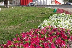 الفضالة: خطة متكاملة لتطوير دوارات وبوابات مدينة حمد