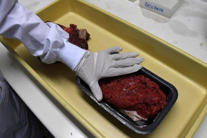 الكويت: جميع اللحوم الواردة إلى البلاد سليمة