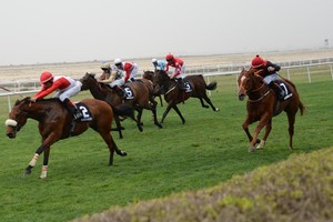 الجمعة السباق الـ20 للخيل