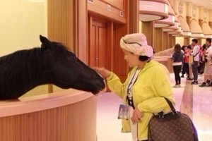 بالصور.. شاهد أفخم اسطبل للخيول في العالم