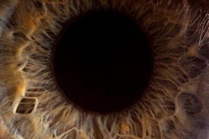 دراسة: حدقة العين تكشف الشعور بعدم اليقين