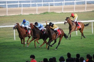 صراع قوي على كؤوس بتلكو وراشد بن محمد و'الأولمبية'