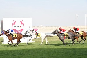 في السباق الـ 22 للخيل... مشاركة أقوى الجياد في سباق كؤوس فيفا وداربي البحرين