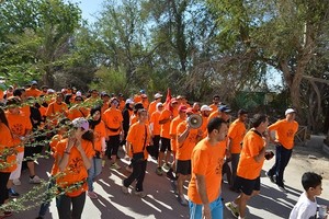 'الثقافة' تنظم سباق المشي 'واكثون' للمواقع الأثرية