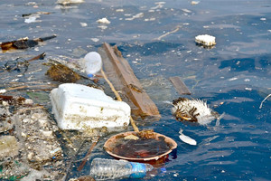 شواطئ سريلانكا تعاني ازدياد معدلات التلوث 