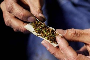 الكونجرس في المكسيك يوافق على استخدام الماريجوانا لأغراض طبية