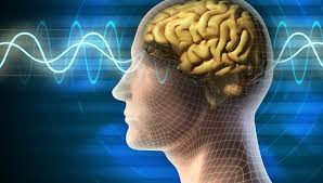 ارتباط مجموعة كبيرة من التدريبات البدنية بتحسين وظيفة الدماغ