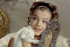 مجهولون يفتحون ضريح الممثلة رومي شنايدر قرب باريس 