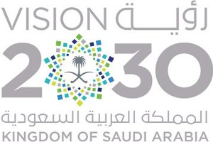 خبراء: الرؤية السعودية 2030 تتمتع بامكانية جذب استثمار اجنبي مباشر