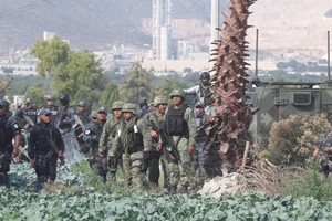 عشرة قتلى على الأقل في مواجهة بين جيش المكسيك ولصوص نفط