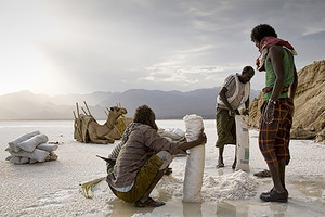 التطور التقني يهدد قوافل الملح التقليدية في أثيوبيا