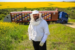 بالصور... شاحنة العسل الجوّالة .. ابتكار تركي لجني العسل