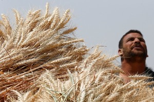 التضخم السنوي في مدن مصر يرتفع إلى 31.5% في أبريل