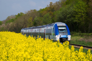 رمى بنفسه مع ابنه الصغير أمام قطار هربا من المحاكمة 