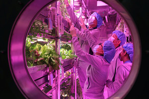 بالفيديو... طلاب صينيون يعيشون في ظروف تشبه سطح القمر