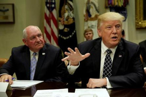 ترامب يبحث تأثير نقل السفارة الأميركية في إسرائيل على عملية السلام