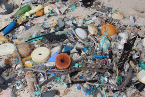 جزيرة نائية في المحيط الهادئ تضم أكبر كمية من النفايات البلاستيكية