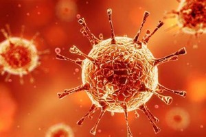 منظمة الصحة العالمية تعلن ارتفاع إصابات إيبولا في الكونغو إلى 29 حالة